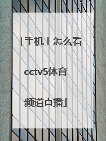 「手机上怎么看cctv5体育频道直播」在手机上怎么看山东体育频道
