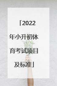 「2022年小升初体育考试项目及标准」广州小升初体育考试项目及标准2022